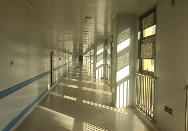 鸡巴尻屄